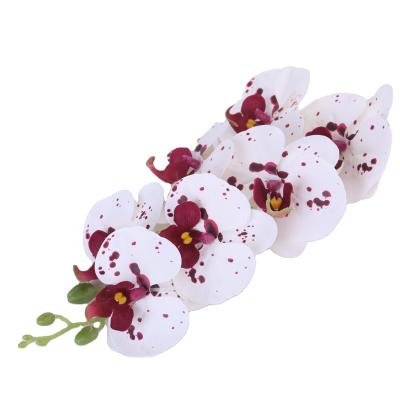 China Wedding New Arrival Colorful Real Touch Artificial Flowers 103cm Big Personalized Flower Orchid for sale