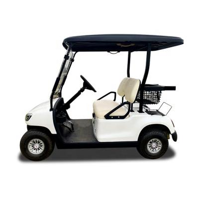 China Alumimum Frame New Design 2 Seats Wuling Electric Golf Club Car For Sale for sale