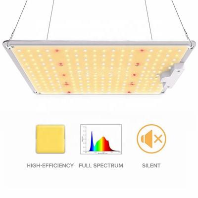 China Seed starting 110W spider SF-1000 full spectrum Samsung lm301b lm301h led grow lights 1000W for indoor plants for sale for sale