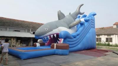 China Fantastic Bouncy Inflatable Water Parks Inflatable Water Slide for sale