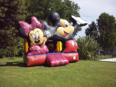 China Casa revestida PVC exterior durável do salto de Mickey Mouse para crianças à venda