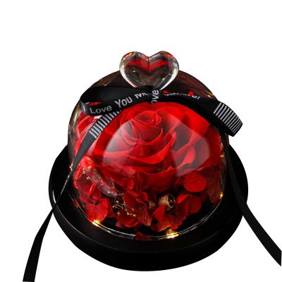 China 2022 Amazon Everlasting Hot Sale New Glass Lid Eternal Flowers Flower Preserved Roses Valentine's Day Christmas Gift Ideas. for sale