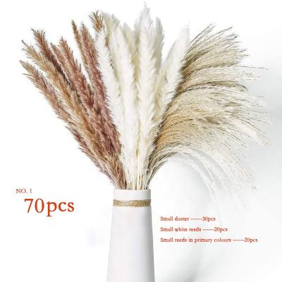 China Natural Contact Amazon 2022 Hot Selling 100% Real Purely Natural Small Pampas Grass Flowers For Decorations Or Gifts for sale