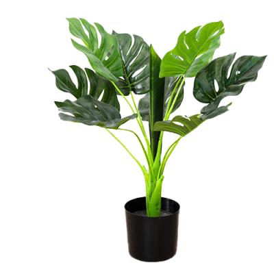 China Contemporary Artificial Tropical Big Leaf Tree Bonsai Monstera Deliciosa Plant Tortoise Brazil Decoration Potted Wedding Furniture for sale