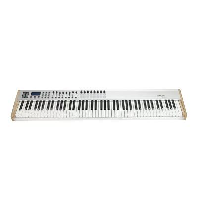 China Worlde P-88 Controller 88 Keys Piano Pro MIDI Keyboard 88 Keys MIDI USB Digital Music Production for Musical Instrument for sale