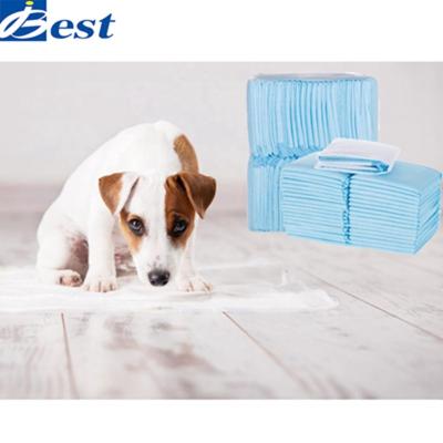 China Water Absorption Indoor Urine Mat Puppy Pet Training Pee Hygienic Pads Stored For Dogs for sale