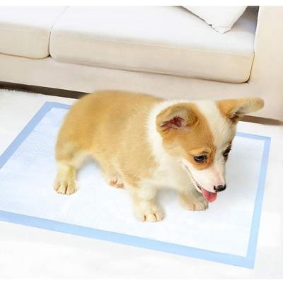 China OEM Factory Stocked Changing Training Portable Pet Pad Dog Toilet Supplies Pet Training Pad for sale