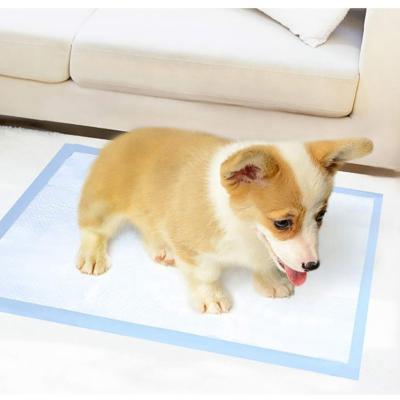 China Stocked Dog Pads Puppy Training Disposable SAP Absorbent Pet Cleaning Pads for sale