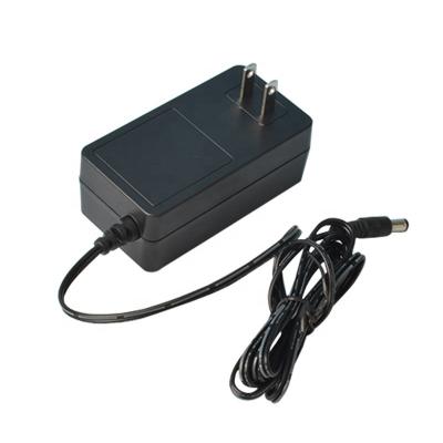 China LED lights factory outlet 48W 24V2A 12V4A power adapter for health massager and beauty instrument for sale