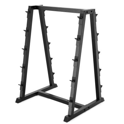 China General Lecheng Fixed Barbell Bar Storage Rack for Straight and Curl Bars for sale