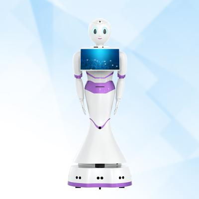 China Hotels Reeman Humanoid Robot Voice Duplex Smart Interaction Multifunctional Smart Robot for sale