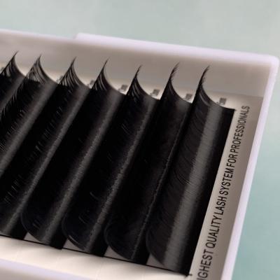 China Natural own brand volume lashes russian volume lashes individual false eyelashes for sale