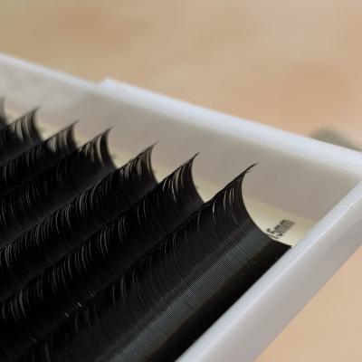 China Natural Wholesale Faux Mink Lashes Extension Lashes Handmade Classic Private Label for sale