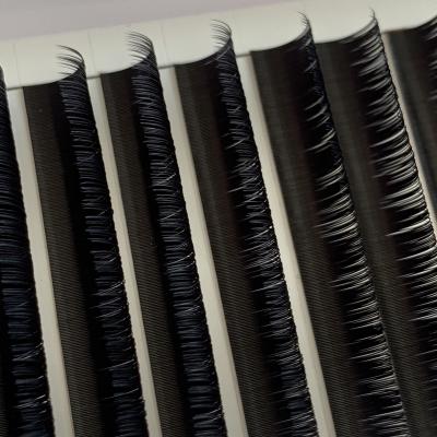 China Delicate/popular person 0.12mm wholesale ultra light/super soft 0.10mm eyelash extensions lashes classic lashes for sale