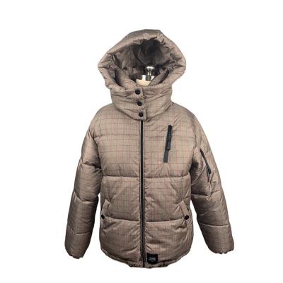 China Keep Warm Women's Hooded Padded Jacket Women Winter Coated Down Cotton Filling Keep Warm Regular Sleeve Thick Polyester Lining for sale