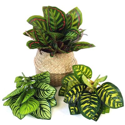 China YIWAN Artificial Trifasciata Prain Plant 18 Leaf Artificial Bonsai Leaves Bundle For Indoor Home Decorative A Bunch Of Elm Leaves for sale