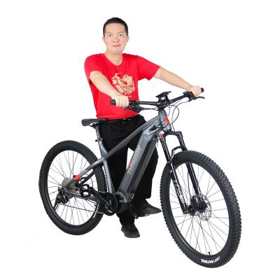 China New Brand 48V 500W 1000W Hurricane Aluminum Alloy Electric Bike With 29