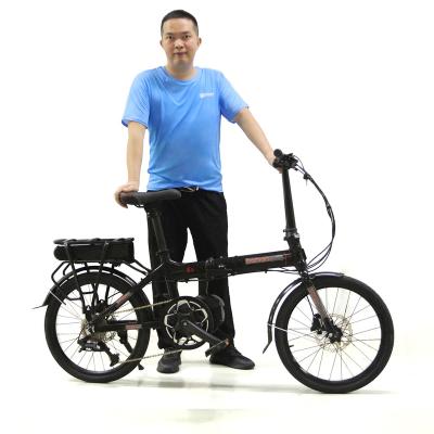 China New Steel Banyan 9 Speed ​​20 Inch Portable Folding Electric Bicycle Mid Drive Motorized Hybrid Electric Bike 250w Unisex Folding E-Bike for sale