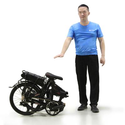 China New hot selling fashionable ebike 20