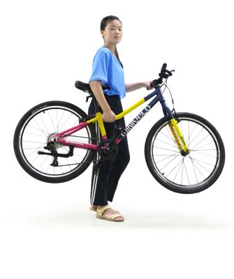 China 6061 aluminum good price 16 inch green folding bike at wholesale price for sale