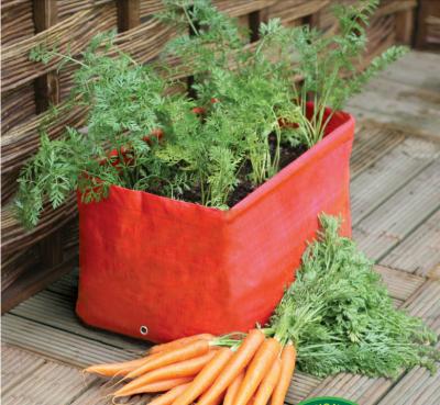 China Tube inside garden grow bag for carrot 2pcs/set for sale