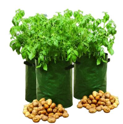 China No Indoor Support Grow Your Own Potato Patio Planter Bag 40 Liters 3pcs/set for sale