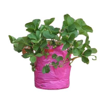 China Open Pockets Grow Your Own Herb Strawberry Patio Planter Bag 40 Liters 2pcs/set for sale