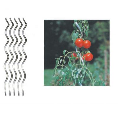 China One Hole Tomato Top Galvanized Steel Spring Sprial Stake For Plant Ascending Climbing Support 6mm x 180cm for sale