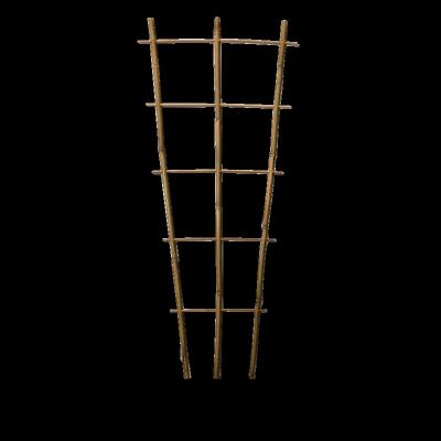 China Natural Bamboo Support Plant Flower Support Height 85cm for sale