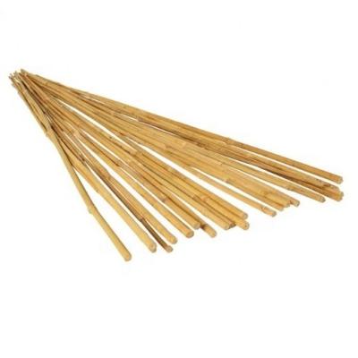 China Support Plant Natural Bamboo Stick For Plant Support 10 Units To 25 Units Per Bag for sale