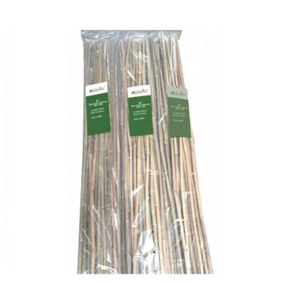 China Natural Bamboo Support Plant Stake For Hydroponics Plant Support 2ft 8ft for sale