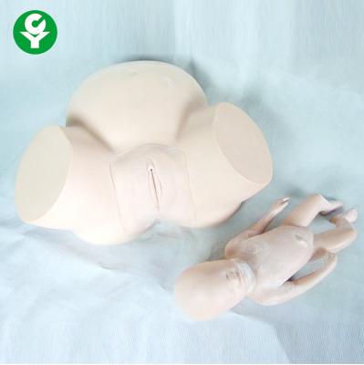 China Midwifery Training Medical Training Manikins Childbirth Demonstration for sale