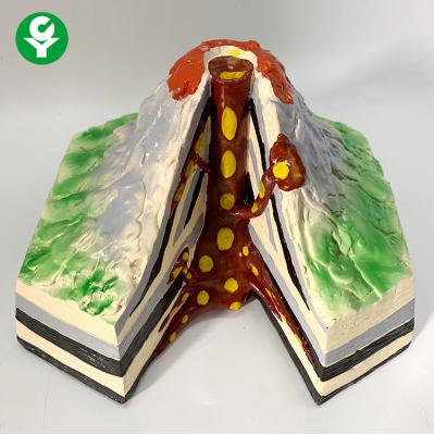 China Geological Model Human Body Parts Gift Volcano Demonstration Learning for sale