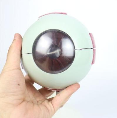 China Advanced Enlarged Eyeball Anatomy Model 0.8 Kg Weight for sale