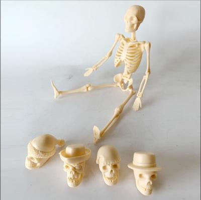 China Skeletal Human Body Model Toy Bone Gifts 20CM Assembled for sale