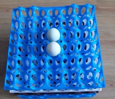 China OEM Plastic egg tray product for sale