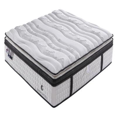 China Micro Convertible Euro Pillowcase Euro Spring Coil Foam Encasement Latex Design Mattress Top Bedroom Furniture for sale