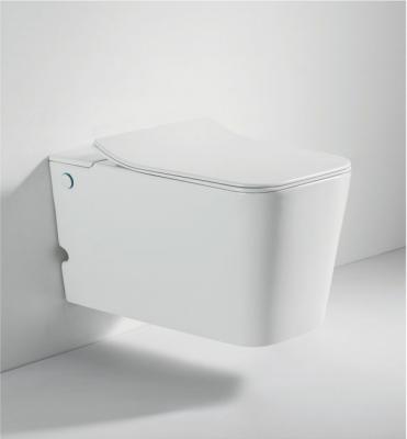 China Modern Durable Hidden Matte Color Toilet Cistern Pulse Wall Mounted Ceramic Tankless With PP Lid for sale