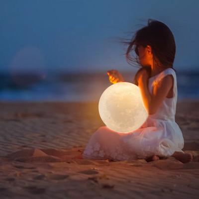 China Dropshipping Modern Winning Products with 8-24cm Led Night Light 3d Printing Moon Lamp White Dimmable, Warm and Cool Touch Control for sale