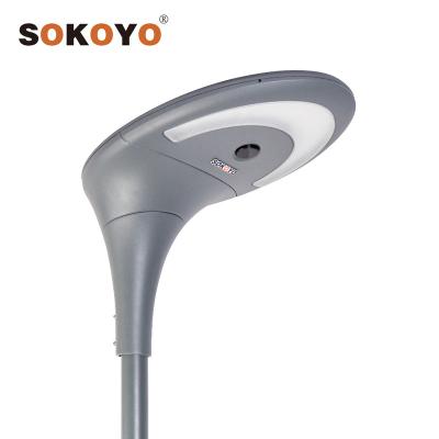 China SOKOYO Integrated Garden Led Solar Garden Light with Motion Sensor All in One Light for sale