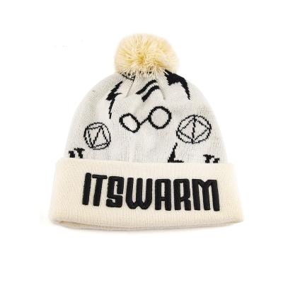 China Custom High Quality Private Label Pompom Ball Winter Embroider Beanie Knitted Hat With Pom Pom for sale