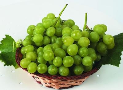 China Paclobutrazol 95% TC/use for Grape/fruit for sale