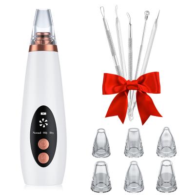 China Acne Treatment Drop Shipping Factory Price Facial Massage Nose Acne Blackhead Remover Deep Cleansing Vacuum With 6 Heads for sale