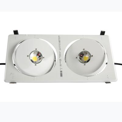 China Extrusion aluminum (AL6063) 8w 60w 130w 260w ceiling led spot downlight led double square led focos downlight for sale