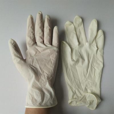 China Powder Free 100% Latex Disposable Latex Examination Gloves For Routine Use for sale