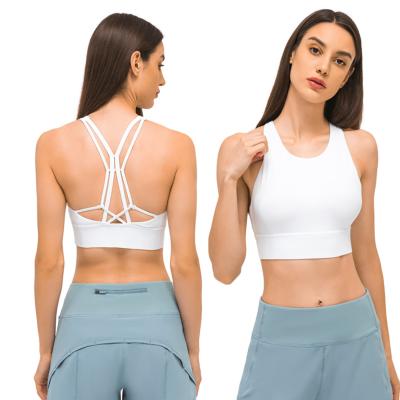 China Sweat-Wicking Factory Price Aplet Plus Size Sports Bra Set Sports Strappy Bra With Hoodie Sports Bra Top Fitness for sale