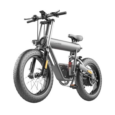 China Coswheel Standard Fat Bike 20