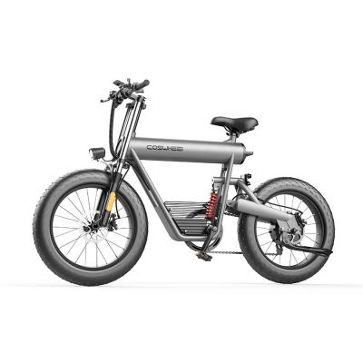 China Aluminum Alloy Fat Tire 20