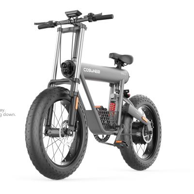 China Aluminum Alloy 48V 500W Electric Folding Ebike E Bike Fat Bike for sale