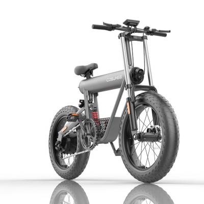 China Aluminum Alloy 20inch Foldable Fat Tire Electric Bicycle Mountain Ebike for sale